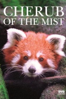 Cherub of the Mist Trailer
