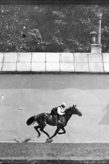 Cheval Noir Monté, Galop Trailer