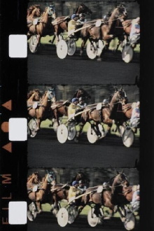 Chevaux couleur Trailer