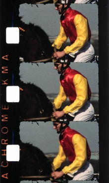 Chevaux (Introduction) Trailer