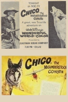 Chico, the Misunderstood Coyote Trailer