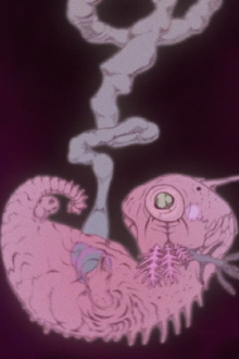Chimera Trailer