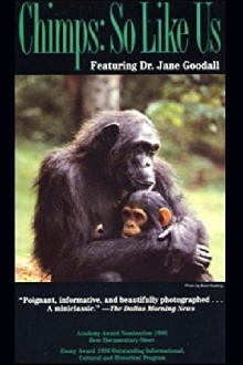 Chimps: So Like Us Trailer