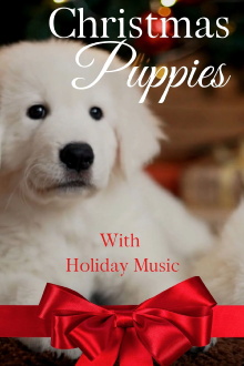 Christmas Puppies Trailer