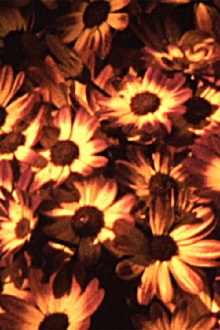 Chromatic Trailer