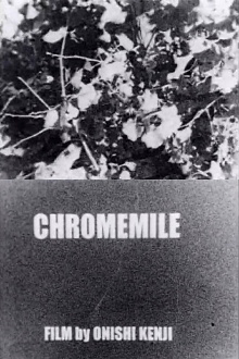 Chromemile Trailer