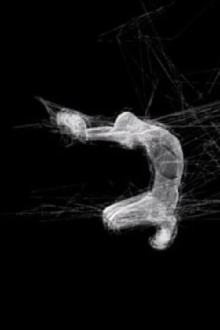 Chrysalide Trailer