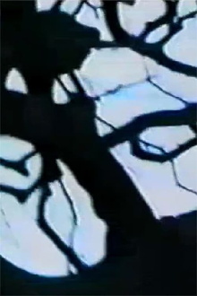 Chrysalides en explosion Trailer