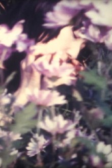 Chrysanthemum Inspiration Trailer