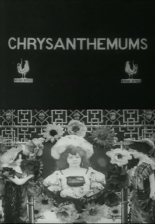 Chrysanthemums Trailer