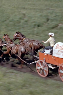 Chuckwagon Trailer