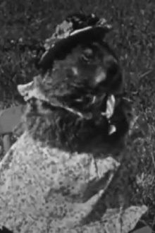 Chucky Lou - Story of a Woodchuck Trailer