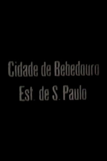 Cidade de Bebedouro - Est. de São Paulo Trailer