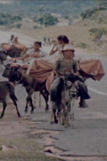 Ciganos do Nordeste Trailer