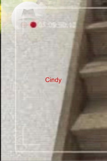 Cindy Trailer