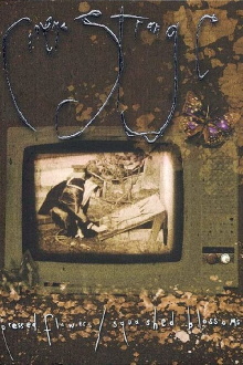 Cinema Strange: Pressed Flowers / Squashed Blossoms Trailer