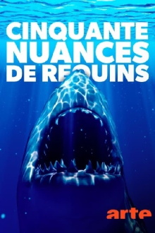 Cinquante nuances de requins Trailer