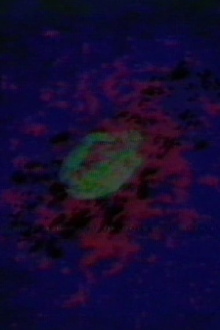 Circling Trailer