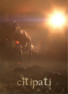 Citipati Trailer