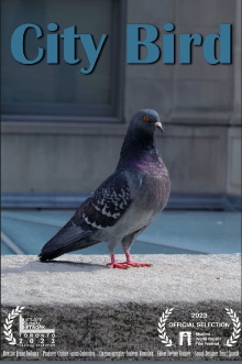 City Bird Trailer