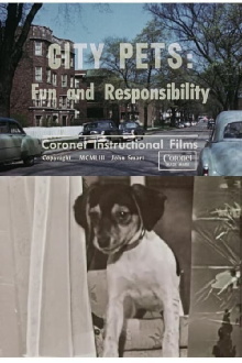 City Pets: Fun and Responsibility Trailer