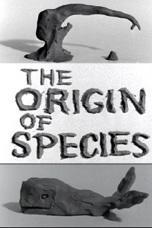 Clay or The Origin of Species Trailer