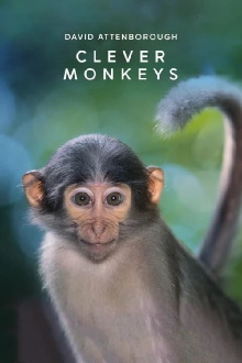 Clever Monkeys Trailer