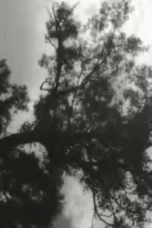 Clouds Trailer