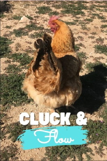 Cluck & Flow Trailer