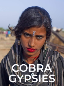 Cobra Gypsies Trailer