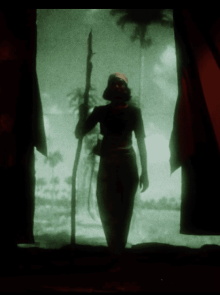 Coconut/Cane & Cutlass Trailer