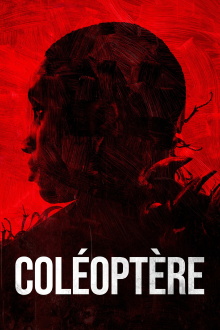 Coléoptère Trailer