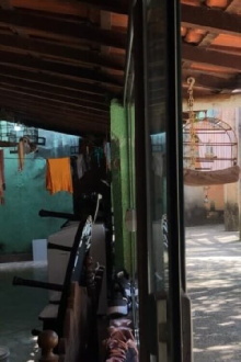 Colhia o tempo que nem laranja no pé Trailer