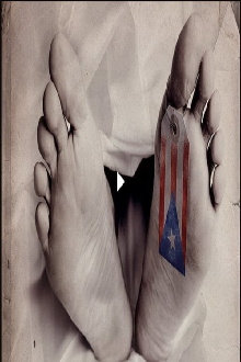 Collapse Trailer