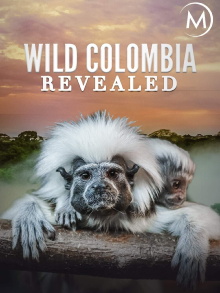 Colombia: Wild Magic Trailer
