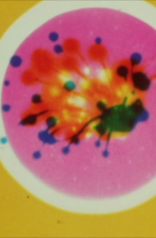 Color Rhapsodie Trailer