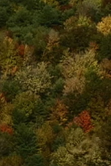 Color Study Trailer