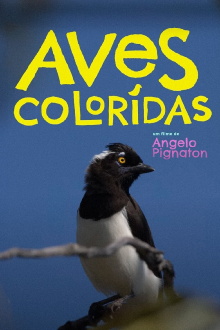 Colored Birds Trailer