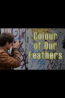 Colour of our Feathers Trailer