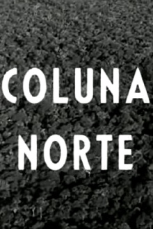 Coluna Norte Trailer