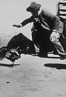Combat de coqs Trailer