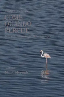 Come quando perché Trailer