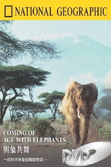 Coming of Age with Elephants Trailer