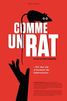 Comme un rat Trailer