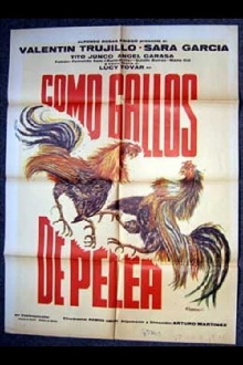 Como gallos de pelea Trailer