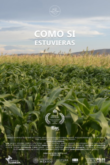 Como Si Estuvieras Trailer