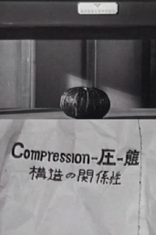 Compression—Relation of Matters Trailer