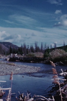 Concerto for Water, Sun and Wilderness Trailer