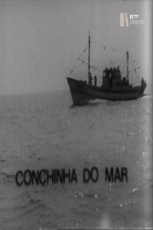 Conchinha do Mar Trailer