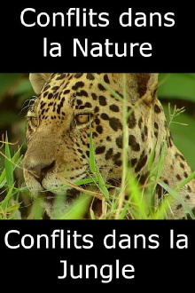 Conflits dans la Nature – Conflits dans la Jungle Trailer